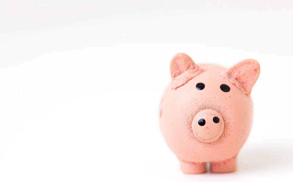pink piggy bank pink piggy bank