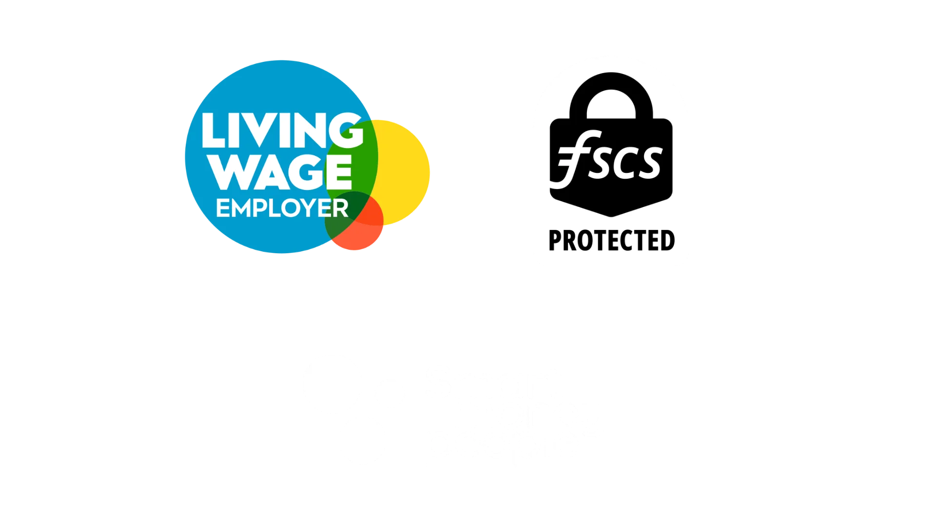 Website Footer Logos