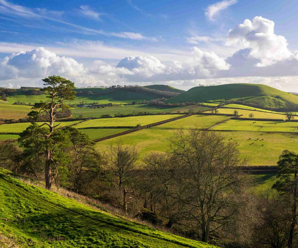 Aerial View Of Countryside And Farmland On A Sunny Day