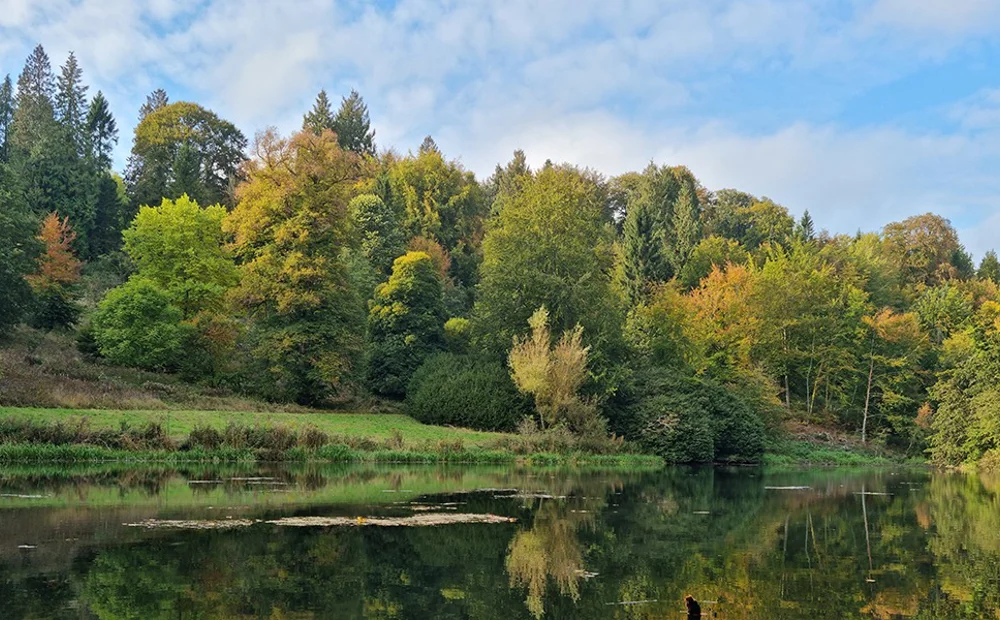 image of lake and trees on sunny day image of lake and trees on sunny day