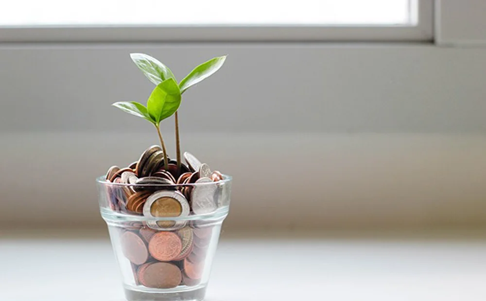 cup of coins with plant growing out of it cup of coins with plant growing out of it