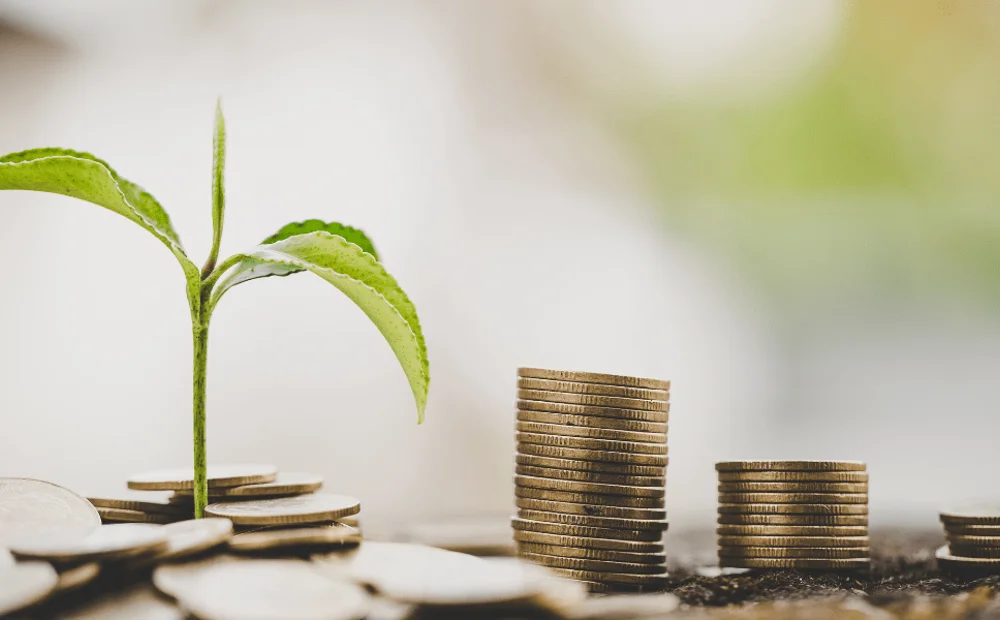 stacks of coins and small plant stacks of coins and small plant
