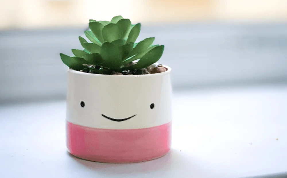 small succulent in smiley face pot small succulent in smiley face pot