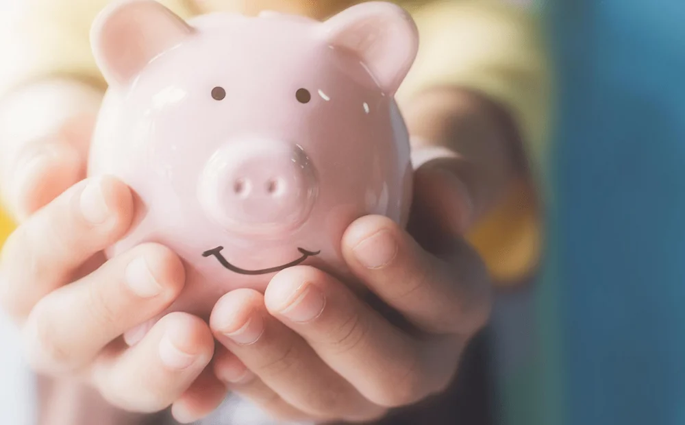 person holding a pink piggy bank person holding a pink piggy bank