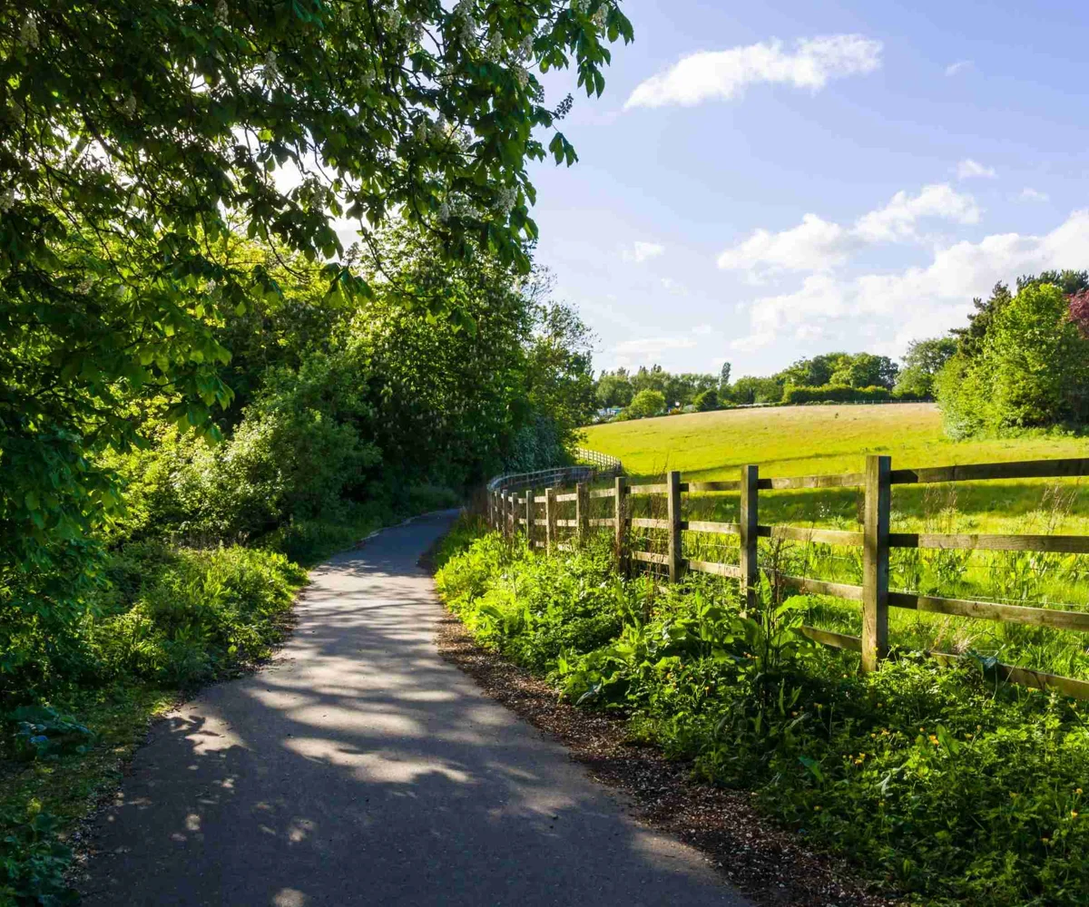 English Countryside On Sunny Day
